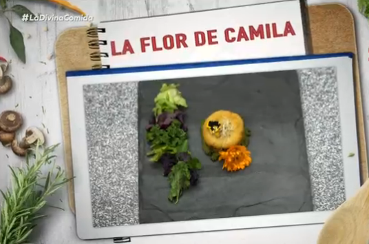 La Flor de Camila Recabarren