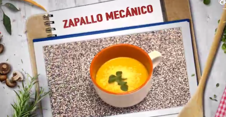 Zapallo mecánico de Giorgio Jackson