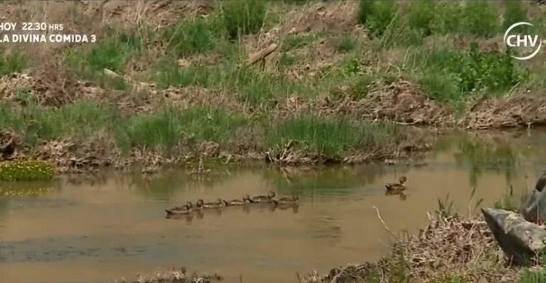 Historias de pueblo: Totoral