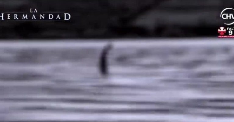 Graban video de supuesto monstruo del Lago Colico - Parte 1