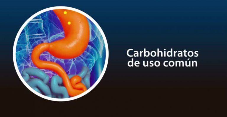 Conoce cómo funcionan los carbohidratos de lenta absorción