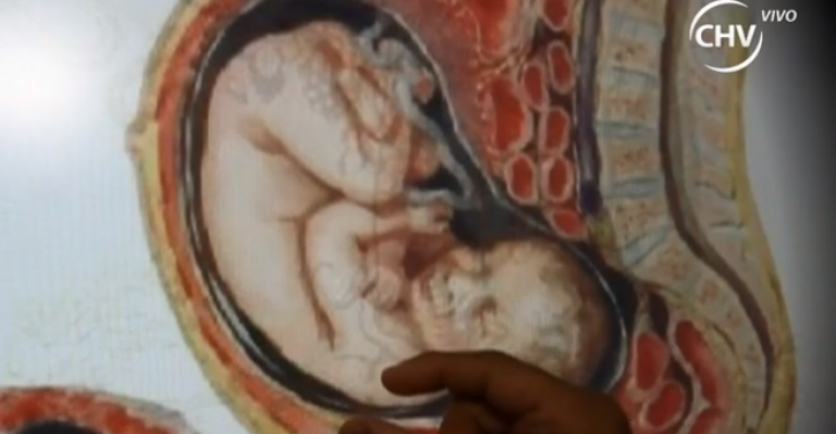 Proyecto de ley busca legitimar vientres de alquiler