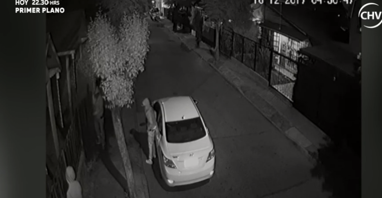 Banda delictual roba regalos desde los árboles de navidad