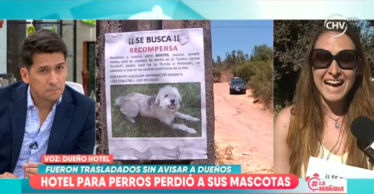 Dueños de perros perdidos enfrentaron a supuesto veterinario