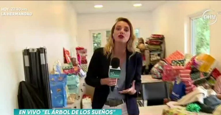 Comenzó campaña navideña de Desafío Levantemos Chile