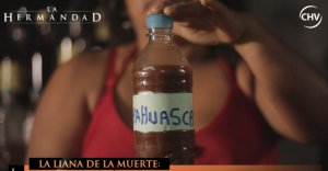 Ayahuasca: La madre de todas las plantas