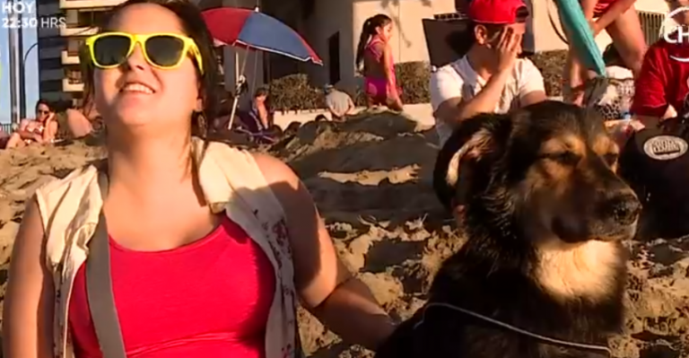 Prohíben y multan el ingreso de mascotas a playas