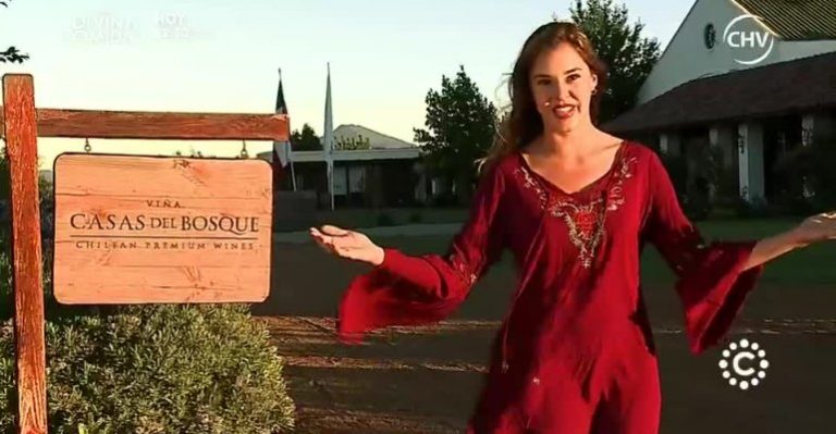 Flor de Chile | Capítulo 20 de enero - Parte 3