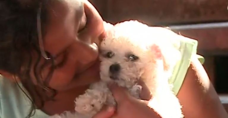 Denuncia que le vendieron perrita con daño neurológico