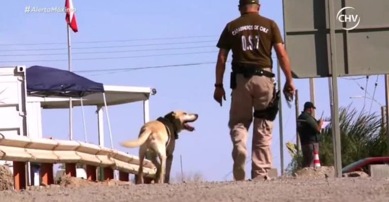 Alerta Máxima Fronteras | Capítulo 15 de enero - Parte 1