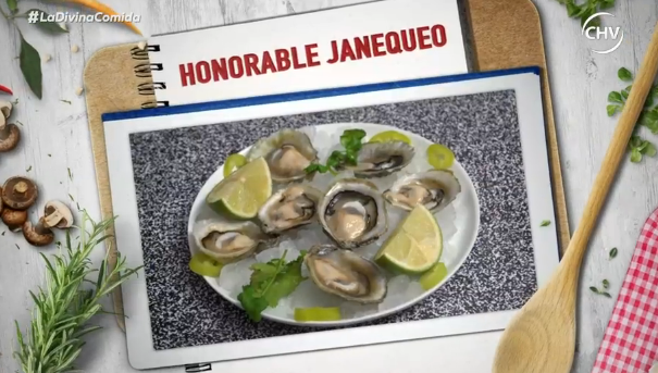 Honorable Janequeo de Pamela Jiles