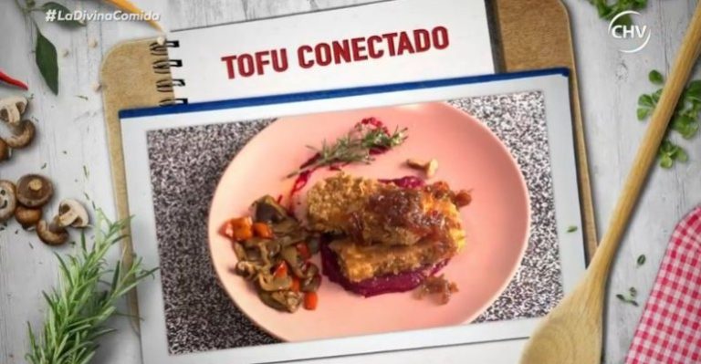 Tofu Conectado de Elvira Cristi