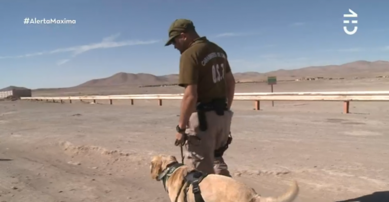 Alerta Máxima Fronteras | Capítulo 19 de febrero - Parte 3