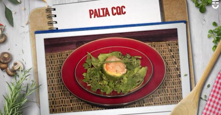 Palta CQC de Nicolás Larraín