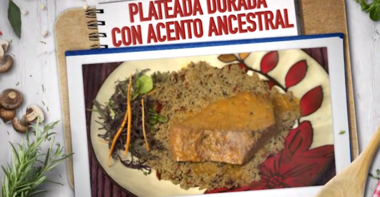 Plateada dorada con acento ancestral de Carola Jorquera