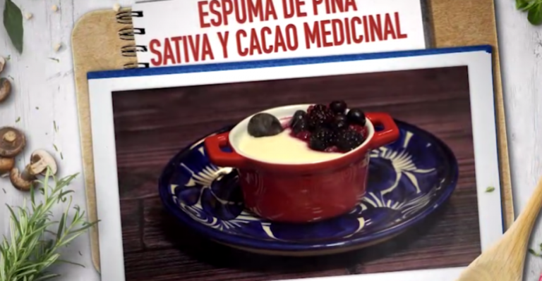 Espuma de piña sativa y cacao medicinal de Ana María Gazmuri