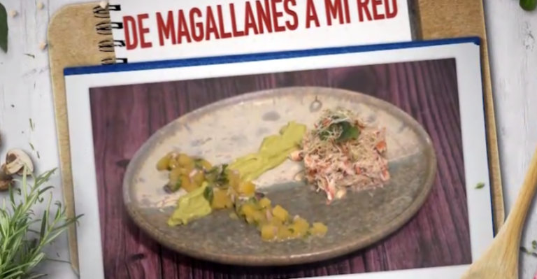 De Magallanes a mi Red es la entrada de Roberto Van Cauwelaert