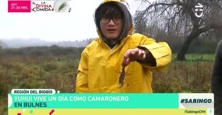 Yuhui fue camaronero por un día en Bulnes