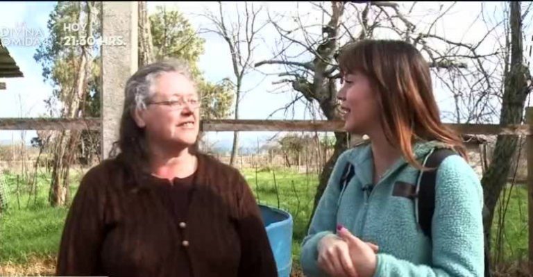 La región del Maule fue el destino de una nueva 