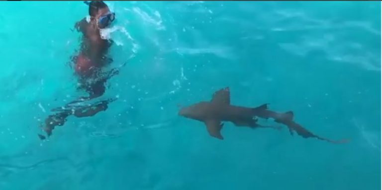 Marcelo 'Chino' Ríos se encuentra con Tiburon: mira quién arrancó