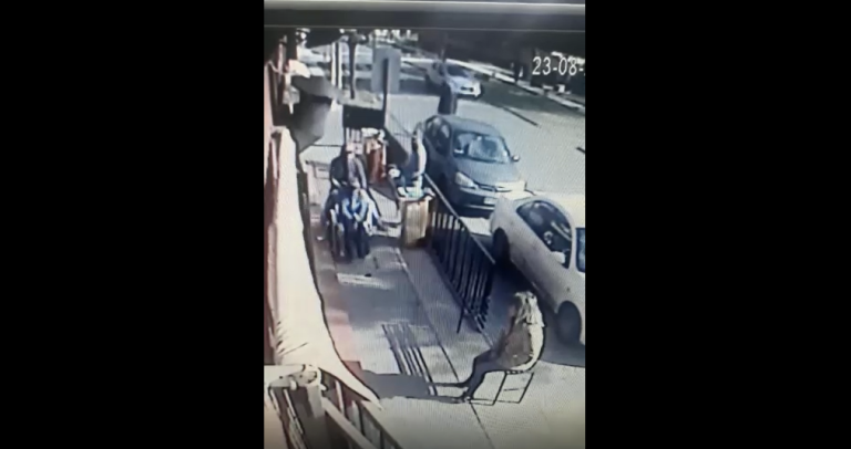 Cruel maltrato contra joven discapacitado: Lo montaron, se burlaron y lo botaron de su silla de ruedas