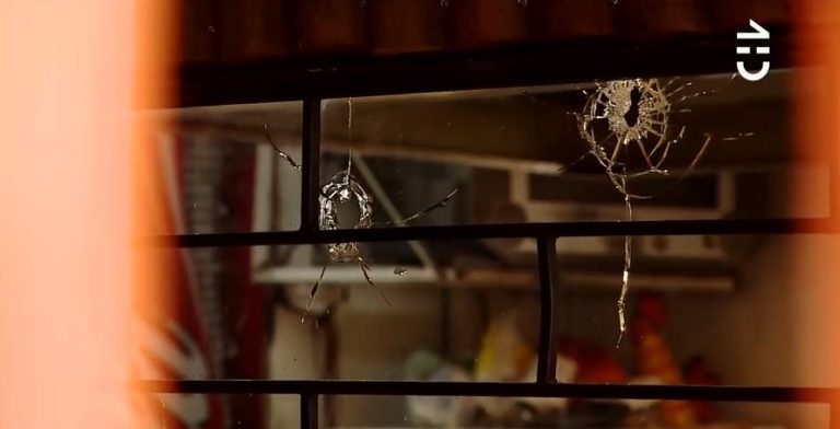 Reconocen legítima defensa para dueño de restauran en Maipú que hirió gravemente en la cabeza a un delincuente