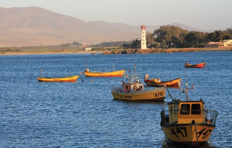 Preocupación en Atacama por 10 sismos registrados en las últimas dos semanas