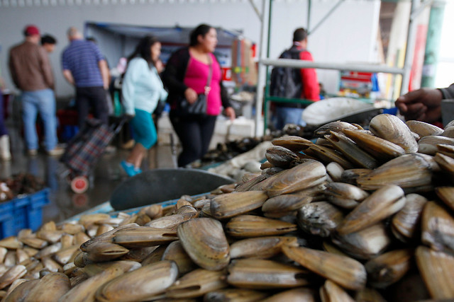 Atención sibaritas: Fanático de los mariscos y la carne cruda terminó con un gusano en su cerebro