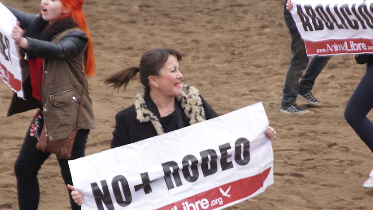 Actriz Soledad Pérez funó el primer rodeo del 18 en el Parque Padre Hurtado
