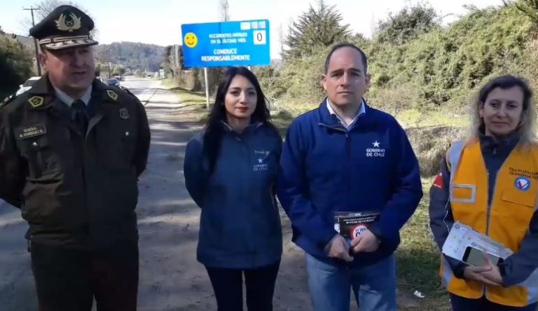 Como en Los Simpson: la curiosa señalética instalada para prevenir accidentes de tránsito en la región de Los Ríos