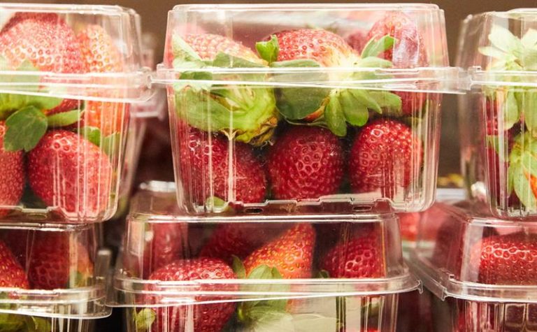 El insólito hallazgo al interior de frutillas en Australia y que ha obligado a desechar millones de unidades