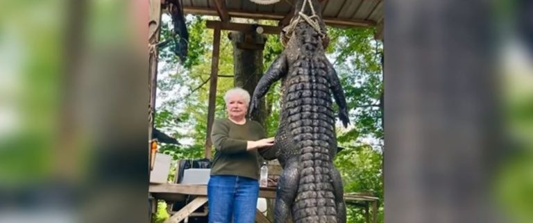 “A este lo hemos estado buscando”: Abuela de 73 años mató a enorme caimán que se había comido a su pony