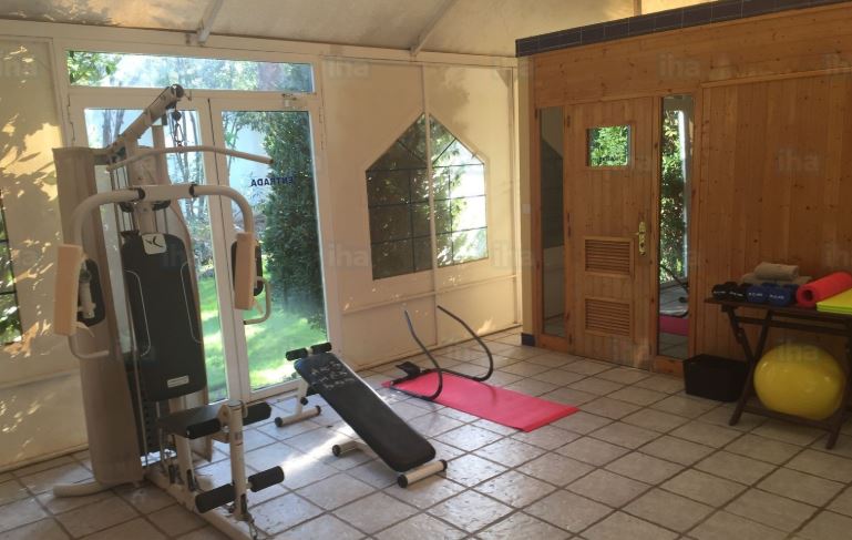 Por un verano sin polera: Arma tu gimnasio casero por $60 mil