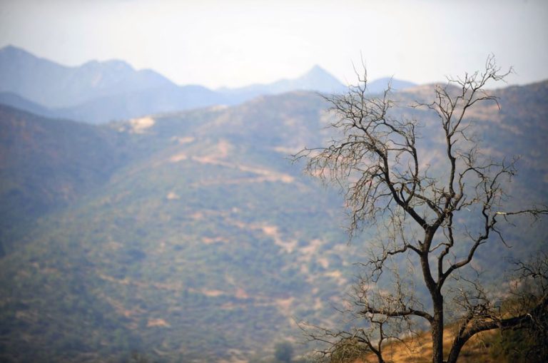 La campaña que desafía a enfrentar los grandes problemas de la humanidad con mensajes inspiradores