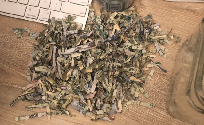 “Mi pobre angelito”: Niño de dos años lanzó los ahorros de sus padres a la trituradora de papeles