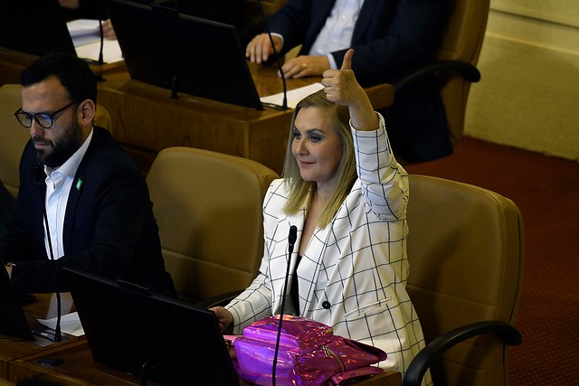 Sororidad: Pamela Jiles defiende a Cathy Barriga por el Kiki Challenge