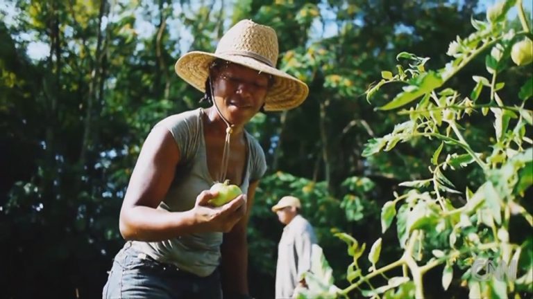 Día mundial de la alimentación: Los desafíos ante el cambio climático