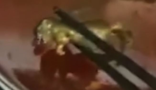 Mesero le recomendó a clienta embarazada abortar tras encontrar una rata muerta en su sopa