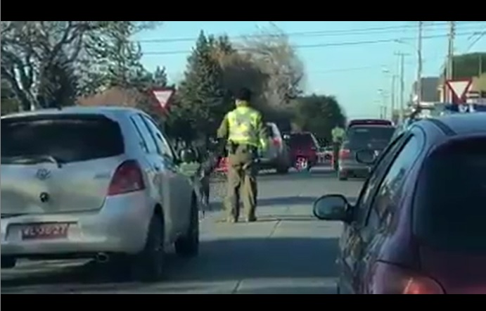 Lo más tierno que verás hoy: Carabinero fue sorprendido por un perrito que sólo quería jugar con él