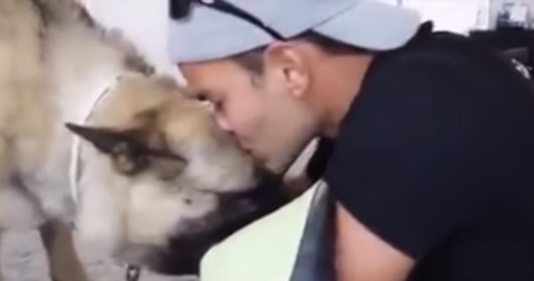 Tierno instante: Video muestra el momento en que un hombre se despide de su perro para siempre