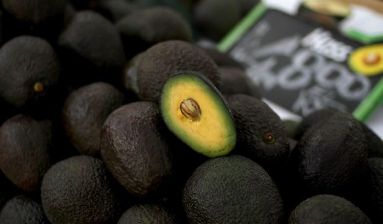 Chilena desarrolló líquido que alarga la vida de la palta hasta en 30 días: No se pone negra