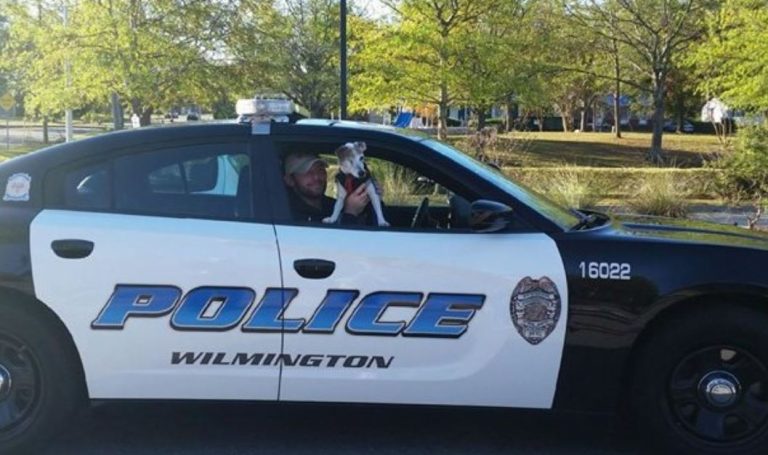 La emotiva jornada de un perrito con cáncer terminal que fue policía por un día