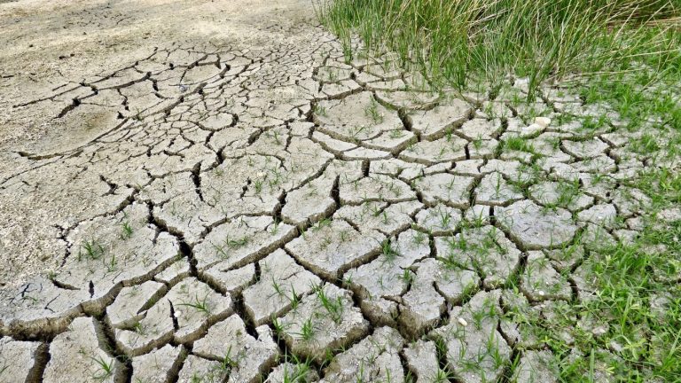 Ultimátum de la ONU: Hasta el 2030 hay tiempo para frenar los efectos del cambio climático