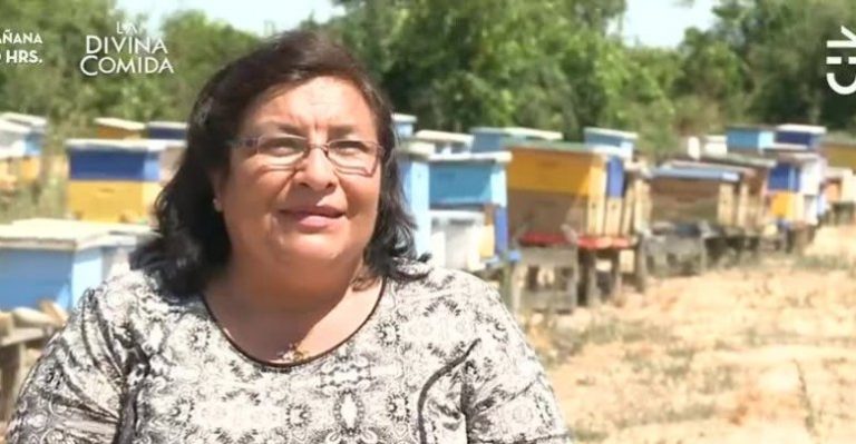 Mónica Rodríguez Apicultora de Pichidegua