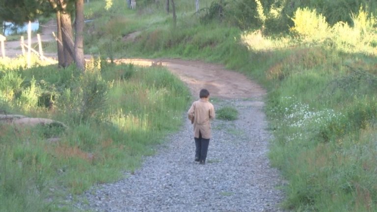 Menor debe caminar cerca de siete kilómetros para asistir a la escuela