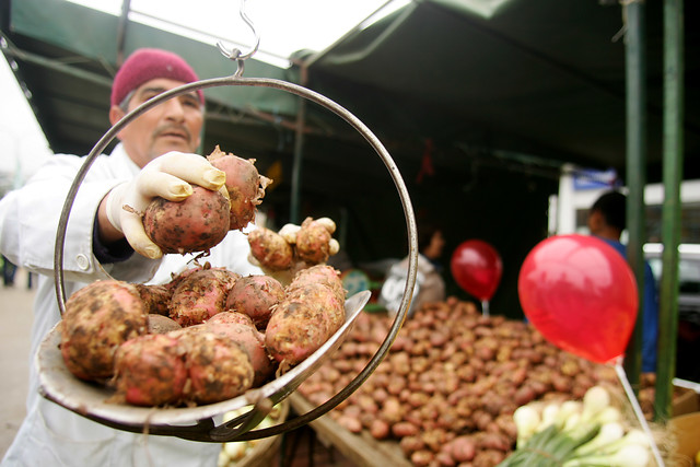 Más de $800 por kilo: Informe del INE reveló que aumento del precio de las papas fue de un 26,7%