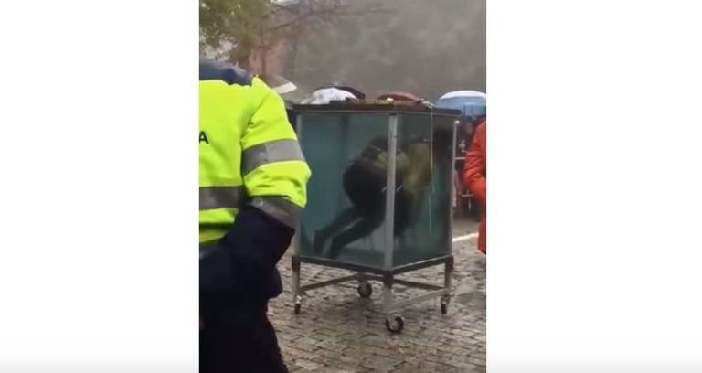 A lo mago Oli: Ilusionista perdió el conocimiento bajo el agua en pleno truco