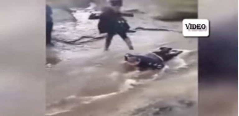 Estudiantes usaron a su compañero discapacitado como puente humano para cruzar un arroyo