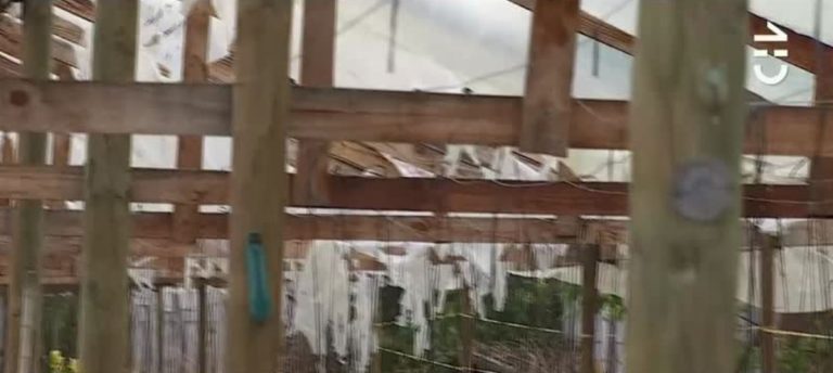 Ministro de Agricultura sobre los granizos en la zona central: 