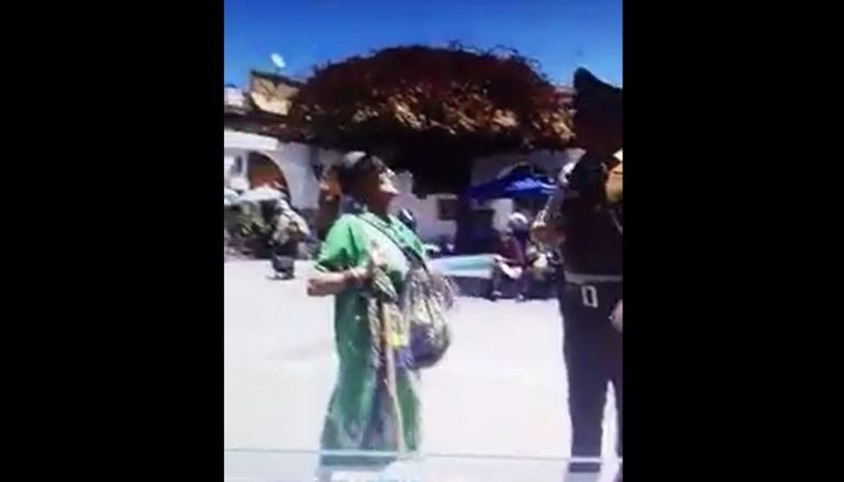 Anciana de 73 años le dio bastonazo a carabinero que fiscalizaba a vendedores ambulantes